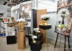 De Powerbrand van Ilonka.